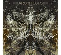 Architects Ruin (Picture LP) (Vinyl LP)