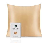 RUIPTSKE Natural Silk Federa, ipoallergenico, 22momme, 100% Seta, 600 Filati, con a Scomparsa Cerniera (Champagne, 65x65cm)
