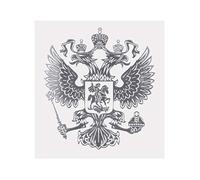 ruiruiNIE Stemma della Russia Adesivo per Auto Adesivi per Decalcomanie Aquila Russa per Car Styling Adesivo per Auto Argento