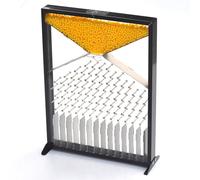 Ruiseawing Dalton Board, modello di esperimento Dalton Board, strumento efficace per esperimenti di legge statistica, per dimostrazione didattica di laboratorio di scuola fisica distribuzione casuale