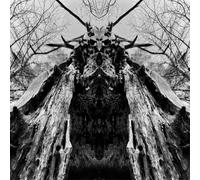 Rulaman To Serve the Dune (CD) Album Digipak