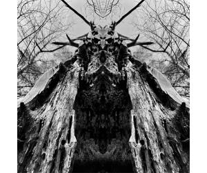 Rulaman To Serve the Dune (CD) Album Digipak