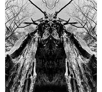 RULAMAN - TO SERVE THE DUNE - CDD - F72z