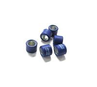 Rulli Variatore POLINI 19x17mm 10,2gr -6 Pezzi per Moto Ricambi