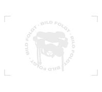 POLINI Rulli Variatore 25x11mm 6,5gr - Set di 12