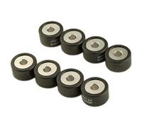 Polini 25x14.8 G12.0 Variator Rollers Argento 25 x 14.8 mm/12.0 g