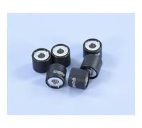 Rulli Variatore POLINI 19x17mm 8,4gr -6 Pezzi per Moto Ricambi