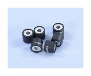 Rulli Del Vario Polini 19X17Mm 8,4Gr - 6 Pezzi Per Moto Ricambi