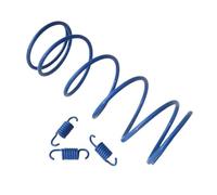 Rulli di peso del variatore 18x14 mm con molla frizione compatibili con GY6125 GY6150 scooter a 4 tempi ciclomotore ATV Go Kart(Only Spring set)