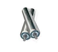 Rulli trasportatori in metallo, confezione da 2 - Rulli di ricambio non alimentati per una movimentazione fluida dei materiali, finitura argentata, ideali per magazzini e produzioni