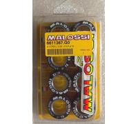 RULLI VARIATORE MALOSSI 26x12,8 GRAMMI 18 MULTIMARCA KIT DA 8 RULLI 6611367G