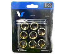 Rulli Variatore TECNIUM 25x17mm 15gr-8 Pz per Moto Ricambi Accessori