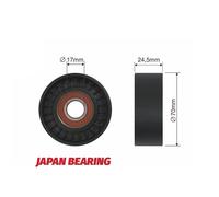 NTY RNK-VV-003 Rullo tenditore, Cinghia Poly-V per VOLVO