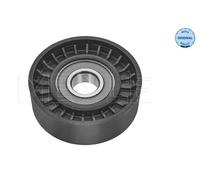 MEYLE Galoppino/Guidacinghia, Cinghia Poly-V per MERCEDES-BENZ 014 202 0003