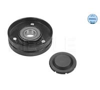 Rullo cinghia trapezoidale 100 903 0001 MEYLE per AUDI VW SKODA