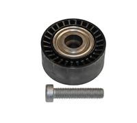 Ina 532043310 Tensionatori