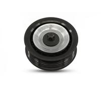 Ina Galoppino guidacinghia 532061910 Cinghia Poly-V per FIAT