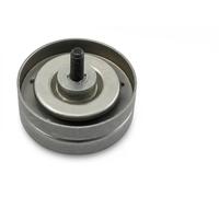 INA Galoppino/Guidacinghia, Cinghia Poly-V compatibile con AUDI SEAT SKODA VW