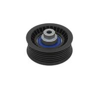 Rullo cinghia trapezoidale 532 0917 10 INA per FORD TRANSIT Autobus