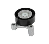 INA Puleggia guida 532 1002 10 per cinghia Poly-V, per VOLVO