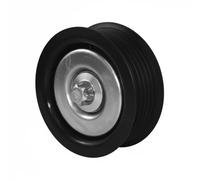 Dayco Tendicinghia APV1155 Galoppino guidacinghia per Fiat Croma JTD 1,9 Punto MJTD