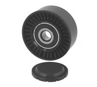 DAYCO APV2517 TENDITORE AUDI SETA VOLKSWAG