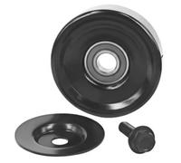 DAYCO APV2666 Galoppino guidacinghia, cinghia Poly-V