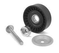 Rullo cinghia trapezoidale APV2673 DAYCO per FORD VOLVO