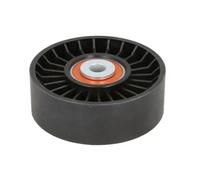 Rullo cinghia trapezoidale E2R0020BTA BTA per RENAULT ESPACE IV VEL SATIS