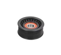 BTA E2R0021BTA Galoppino guidacinghia, cinghia Poly-V