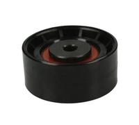 Puleggia tendicinghia, cinghia a V BTA E2R5576BTA