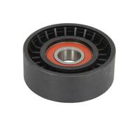 Rullo cinghia trapezoidale E2V6533BTA BTA per VOLVO DODGE JEEP FIAT