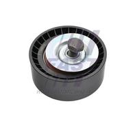 FAST FT44679 Galoppino guidacinghia, cinghia Poly-V