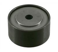 FEBI BILSTEIN 22146 Galoppino guidacinghia, cinghia Poly-V