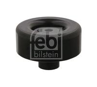 Febi-Bilstein 34536 - Galoppino/Guidacinghia, Cinghia Poly-V