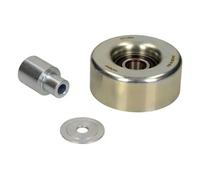 MAXGEAR Galoppino/Guidacinghia, Cinghia Poly-V per PORSCHE 54-1306