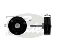 GATES T36184 Galoppino guidacinghia, cinghia Poly-V