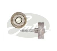 GATES T36382 Galoppino guidacinghia, cinghia Poly-V