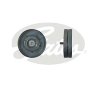 GATES T36436 Galoppino/Guidacinghia, Cinghia Poly-V per AUDI,SEAT,VW