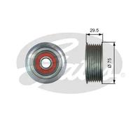 GATES T36447 Galoppino guidacinghia, cinghia Poly-V