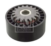FEBI BILSTEIN 09789 Galoppino guidacinghia, cinghia Poly-V