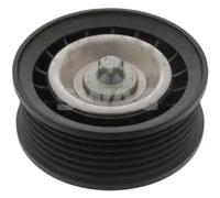 Rullo cinghia trapezoidale Plastica 10 94 7333 SWAG per MERCEDES-BENZ CLASSE R