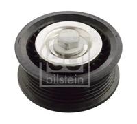 Rullo cinghia trapezoidale Plastica 103899 FEBI BILSTEIN per OPEL CHEVROLET