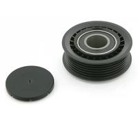 FEBI BILSTEIN 11273 Galoppino guidacinghia, cinghia Poly-V
