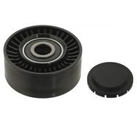 FEBI BILSTEIN 30621 Galoppino guidacinghia, cinghia Poly-V