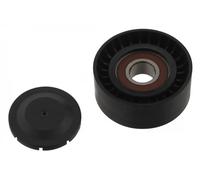 Febi Bilstein Galoppino guidacinghia 30923 Cinghia Poly‑V per Audi, VW