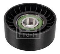 Rullo cinghia trapezoidale Plastica 31975 FEBI BILSTEIN per MERCEDES-BENZ TOYOTA