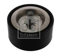 FEBI BILSTEIN 40440 Galoppino/Guidacinghia, Cinghia Poly-V per MERCEDES-BENZ