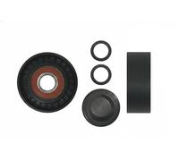 NTY Galoppino/Guidacinghia, Cinghia Poly-V compatibile con AUDI PORSCHE VW VAG