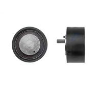 NTY Galoppino/Guidacinghia, Cinghia Poly-V compatibile con IVECO RNK-FT-024